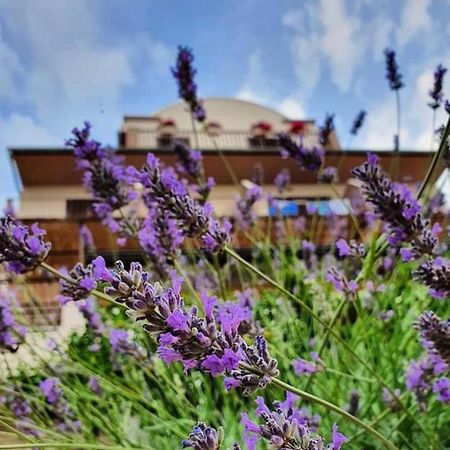 Hotel B&B Chamberlain 밀나 외부 사진
